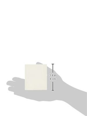 Special Tea Company 200 Count Tea Bag Envelopes/Favor Bags