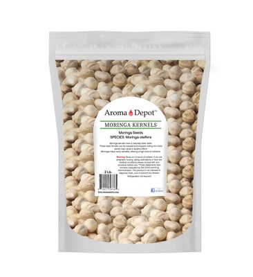2 lb Moringa Seeds KERNEL Shelled Clean 100% Natural, Raw Superfood Nutritional, Rich in Vitamins, Edible Seeds, Protein, Minerals, Potassium. (APX 3000-3200 Kernels)