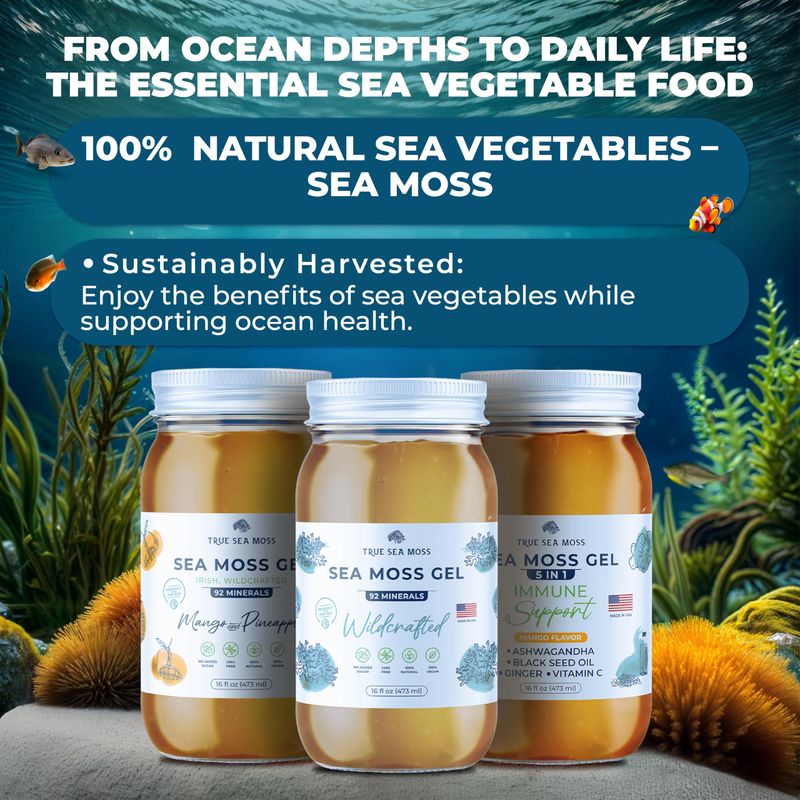 TrueSeaMoss Wildcrafted Irish Sea Moss Gel -7 Flavors- Nutritious Raw Seamoss Rich in Minerals, Proteins &amp; Vitamins - Antioxidant Health Sea Moss, Vegan Made in USA (MANGO/PINEAPPLE, 1)