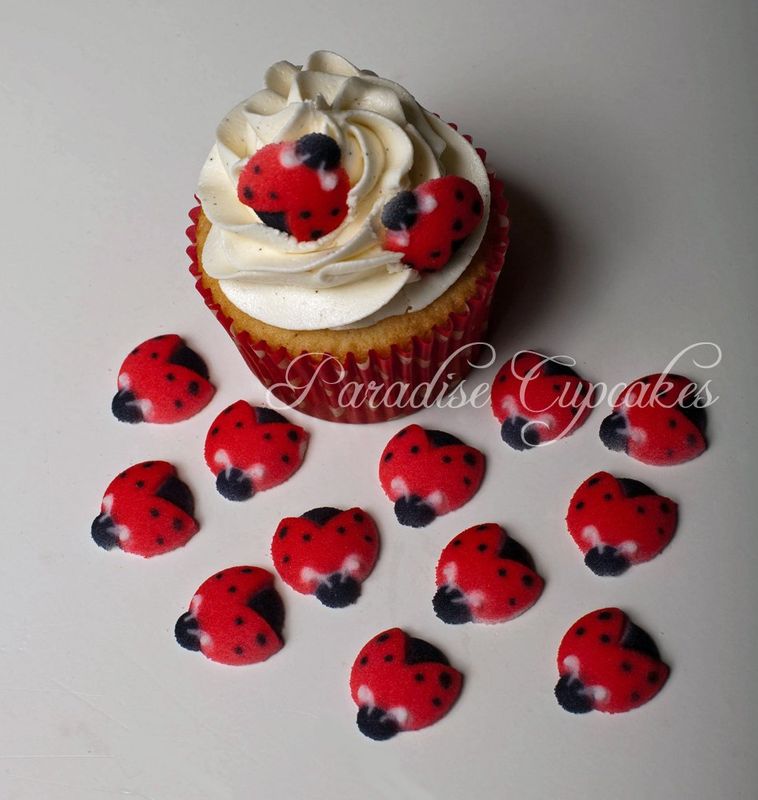Oasis Supply Set of 12 Edible Sugar Ladybug Toppers for Cakes or Cupcakes