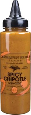 Terrapin Ridge Farms Gourmet Spicy Chipotle Garnishing Sauce - One 8.5 Ounce Bottle