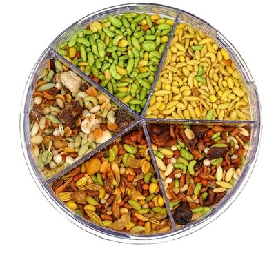 Chandan Mouth Freshener 5 in 1 Mix Mouth Fresheners Sweet Fennel Mix | Kashmiri, Special, Jet, Poona &amp; Gulab Mukhwas, 8.82 oz / 250 g