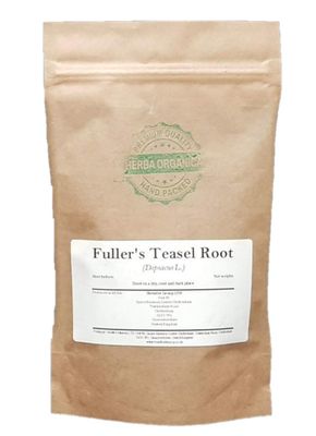 Herba Organica - Fuller&#39;s Teasel Root - Dipsacus L (100g)
