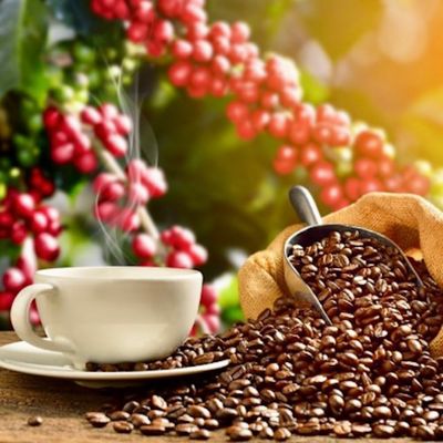 Royal Kona 10% Kona Coffee Blend, Vanilla Macadamia Flavor - Ground, 40 Ounce Bag