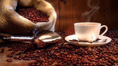 Wallenford's 100% Jamaica Blue Mountain Roasted Whole Bean Coffee - Authentic Jamaican Blue Mountain Coffee Beans, Blue Mountain Coffee from Jamaica - 16oz