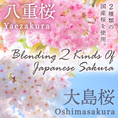 Sakura Latte -Creamy and Aromatic Foam- Using Japanese Cherry Blossom 100%, 3.5oz, Made in Japan,Sold by Japanese company YAMASAN