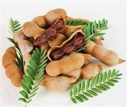 Delicias Del Triunfo Tamarind Tamalitos (12 Pieces)