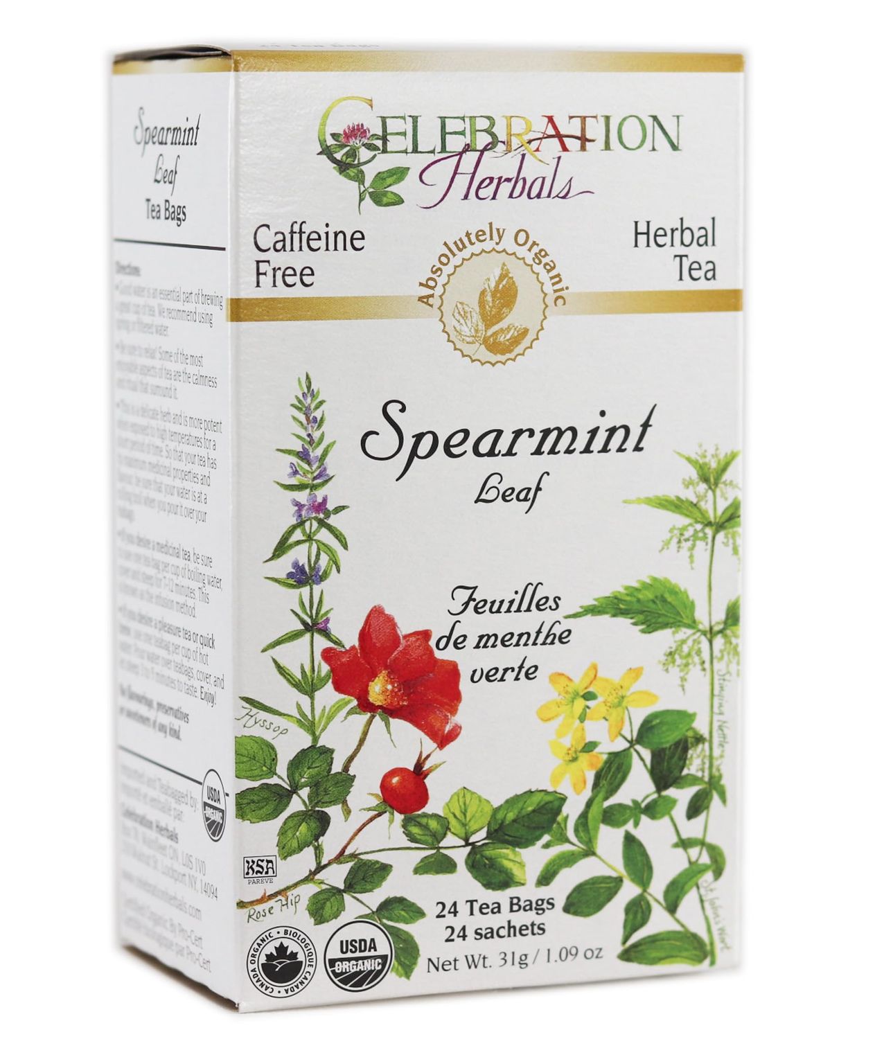 Celebration Herbals Spearmint Leaf 24 Count