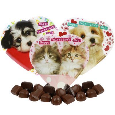 Valentines Heart Shaped Gift Boxes with Dogs &amp; Cats Bundle, 3 Mini Box with Assorted Chocolate Treats, Present for Loved Ones, 3 Pack, 2 Ounces