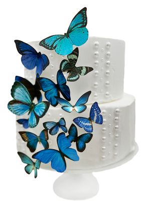 Sugar Robot Inc. Edible Butterflies for Cake Decorating - Assorted Sizes, Premium Crafted in the USA - Butterfly Cake Toppers &amp; Cupcake Decorations (Blue)