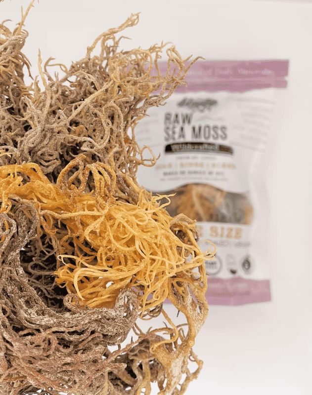 Sea Moss | Rainbow | Makes 24oz of Gel | Raw + Non GMO | Sundried | WILDCRAFTED