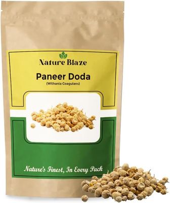 Organic Herbs Ayurvedic Herbal Indian Rennet | Paneer Doda | Paneer ka Phool | Whole Withania Coagulans (1kg)