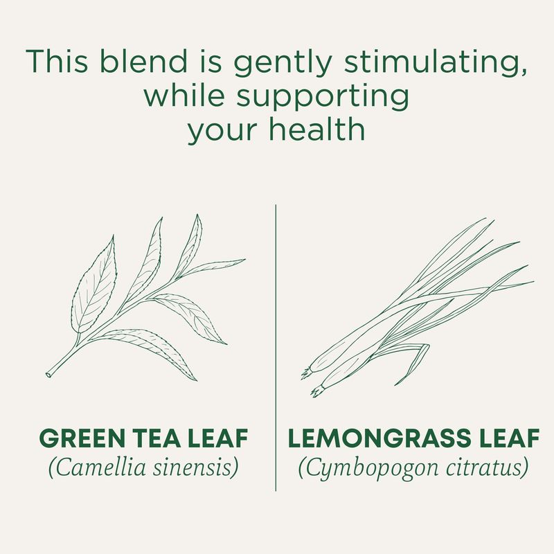 Traditional Medicinals Tea, Organic Green Tea Lemongrass, 96 Tea Bags (6 Pack)