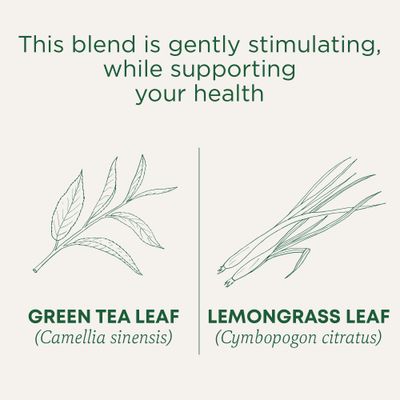 Traditional Medicinals Tea, Organic Green Tea Lemongrass, 96 Tea Bags (6 Pack)