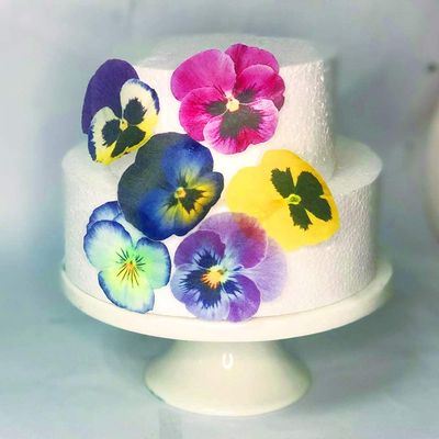 CHOCKACAKE Edible Flowers for Cake Decorating Topper Sunflowers for Cupcakes Drinks Decorations (28pcs)