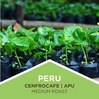 Tiny Footprint Coffee - Peru, Medium Roast, Organic Coffee - Whole Bean Coffee - Fair Trade Certified &amp; Carbon Negative - You Drink Coffee, We Plant Trees, 3 Pounds
