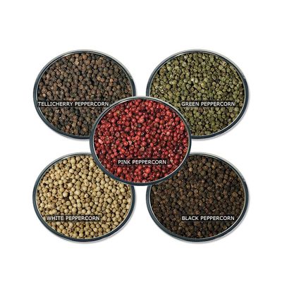 Peppercorn Spice Set by Spice Specialist - Contains: 5 plastic jars (Peppercorns weight varies due to density) - KOSHER