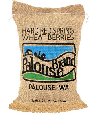 Certified Glyphosate Residue Free Hard Red Spring Wheat Berries | 5 LBS | 100% Non-Irradiated | Certified Kosher Parve | USA Grown | Non-GMO Project Verified