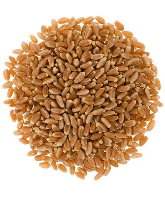 Certified Glyphosate Residue Free Hard Red Spring Wheat Berries | 5 LBS | 100% Non-Irradiated | Certified Kosher Parve | USA Grown | Non-GMO Project Verified