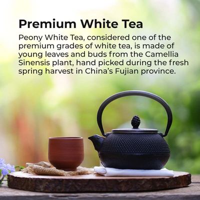 Prince of Peace Premium White Tea, 2 Pack - 100 Tea Bags Each - White Tea Bags - Prince of Peace - White Peony Tea - Camellia Sinensis Tea Bags - Prince of Peace Tea - Premium Grade Tea
