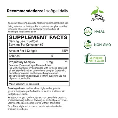 Terry Naturally CuraMed 375 mg Curcumin Complex - 60 Softgels - Superior Absorption BCM-95 - Non-GMO, Gluten-Free, Halal - 60 Servings