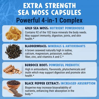 MAJU 4-in-1 Organic Sea Moss Capsules, Wild Chondrus Crispus, Seamoss w/Bladderwrack + Burdock Root, Stronger Than Gel, Irish, Sebi Inspired Raw Powder in Pills, 500 mg Capsule (60 ct)