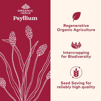 ORGANIC INDIA Psyllium Herbal Powder - Whole Husk Fiber Supplement, Digestion Support, Vegan, Gluten-Free, USDA Certified Organic, Non-GMO, Soluble & Insoluble Fiber Source - 12 oz
