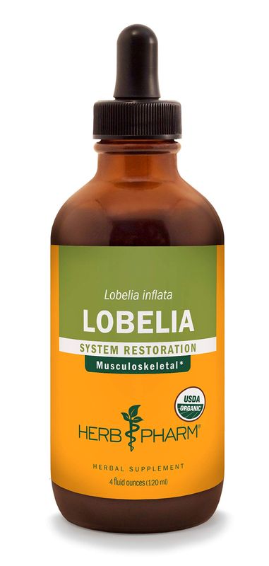 Herb Pharm Certified Organic Lobelia Liquid Extract for Musculoskeletal System Support - 4 Ounce