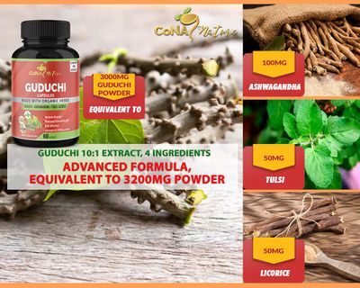 Organic Giloy Guduchi Extract Capsules 3200MG &amp; Ashwagandha, Licorice, Holy Basil | Immune Booster, Liver Detox Cleanse Support