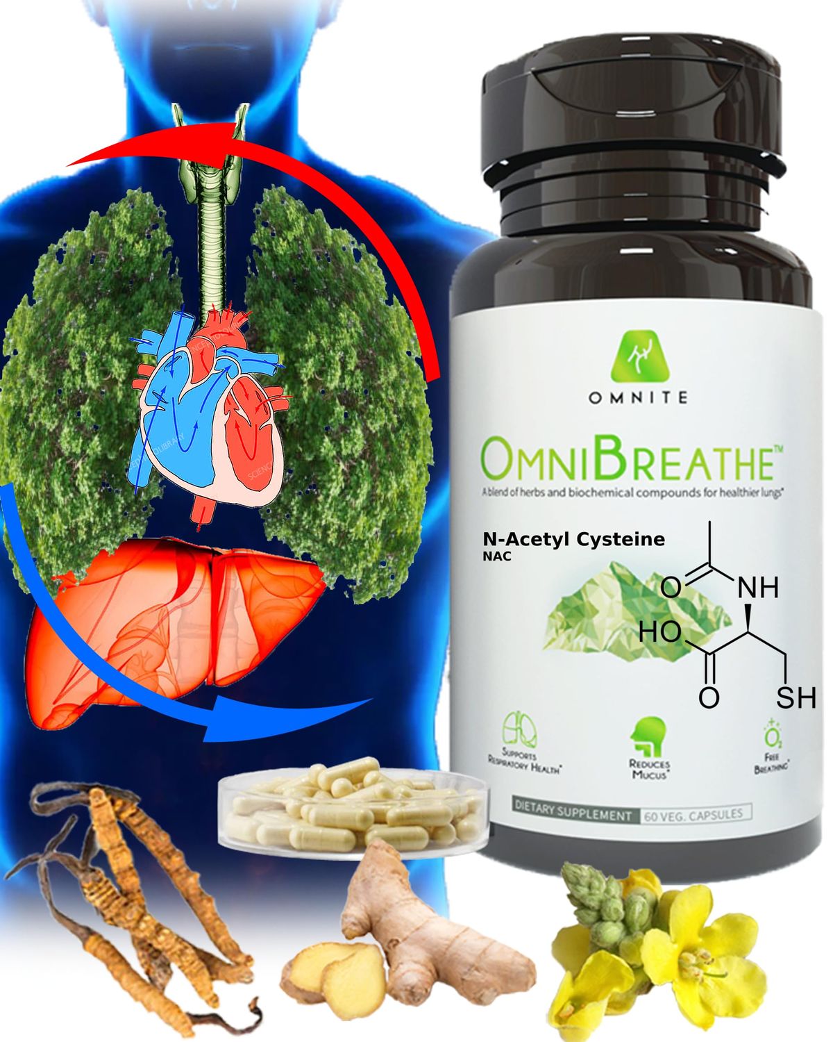 Omnite OMNIBREATHE - Fast Improving Breathing Problems by NAC 600MG Scientifically Formulated w. Quercetin/Mullein/Coq 10/Ginger/Stinging Nettle/Bromelain,3 Times w. Meal (10-Day Supply to Boost)
