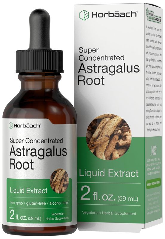 Horbach Astragalus Root Extract Liquid | 2 fl oz | Alcohol Free Tincture | Super Concentrated | Vegetarian, Non-GMO, Gluten Free
