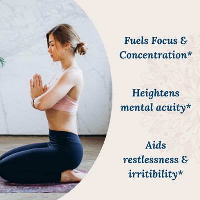 Live Conscious KSM-66 Ashwagandha Supplement w/L Theanine & AlphaWave - ZenWell Everyday Stress Relief, Mood Support, Cognitive, Brain Health - Ashwagandha for Men & Women - 60 Capsules