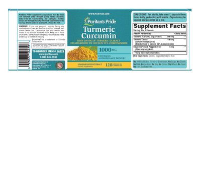 Puritan's Pride Turmeric Curcumin 1000mg, Herbal Dietary Supplement for Antioxidant Health, 120 Rapid Release Capsules