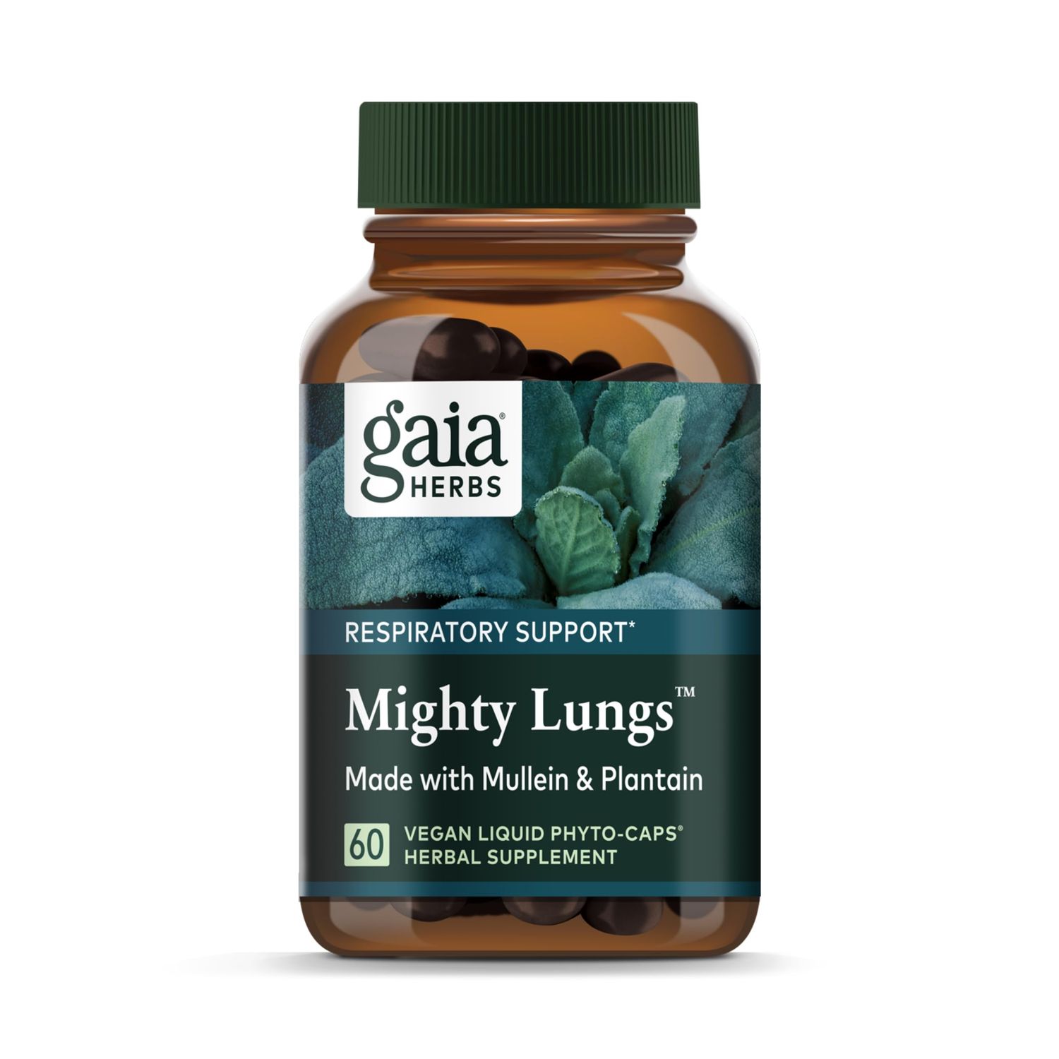 Gaia Herbs Mighty Lungs - Lung Support Supplement to Help Maintain Overall Lung &amp; Respiratory Health* - With Mullein, Plantain, Schisandra &amp; Elecampane - 60 Vegan Liquid Phyto-Capsules (30-Day Supply)