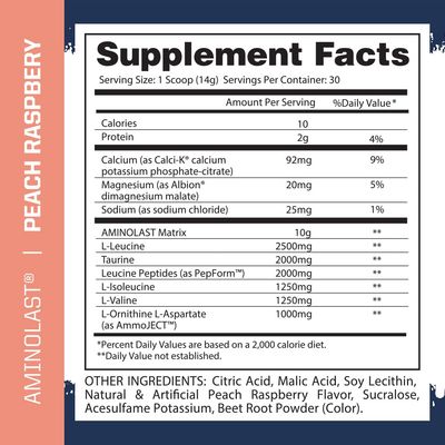 Gaspari Nutrition: AminoLast, Muscle Recovery and Endurance BCAA Fuel, Enhances Recovery &amp; Replenishes Electrolytes, 30 Servings (Peach Raspberry)