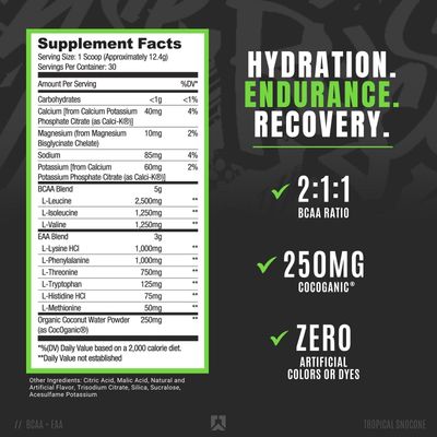 Ryse Core Series BCAA+EAA | Recover, Hydrate, and Build | with 5g Branched Chain Aminos and 3g Essential Aminos | 30 Servings (Tropical Snocone)