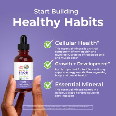 MaryRuth Organics Iron Supplement for Toddlers | Liquid Iron Supplement for Children Ages 1-3 | Iron Supplement for Iron Deficiency | Ferrochel | Sugar Free | Vegan | Non-GMO | Gluten Free | 2 Fl Oz