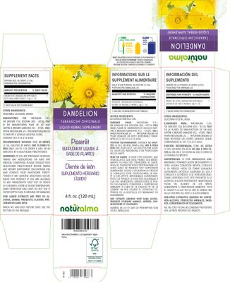 Naturalma Dandelion (Taraxacum officinale) Root and herb Alcohol-Free Tincture - 4 fl oz Liquid Extract in Drops - Herbal Supplement - Vegan