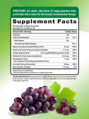 Natures Truth Iron Gummies | 60 Count | Vegan, Non-GMO &amp; Gluten Free Supplement | with Zinc &amp; B Vitamins | Grape Flavor