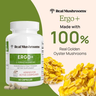 Real Mushrooms L-Ergothioneine, Golden Oyster Mushroom Extract (60ct) Longevity, Immune Support &amp; Brain Supplement Mushroom Blend with Beta Glucan - Organic, Vegan Mushroom Supplements