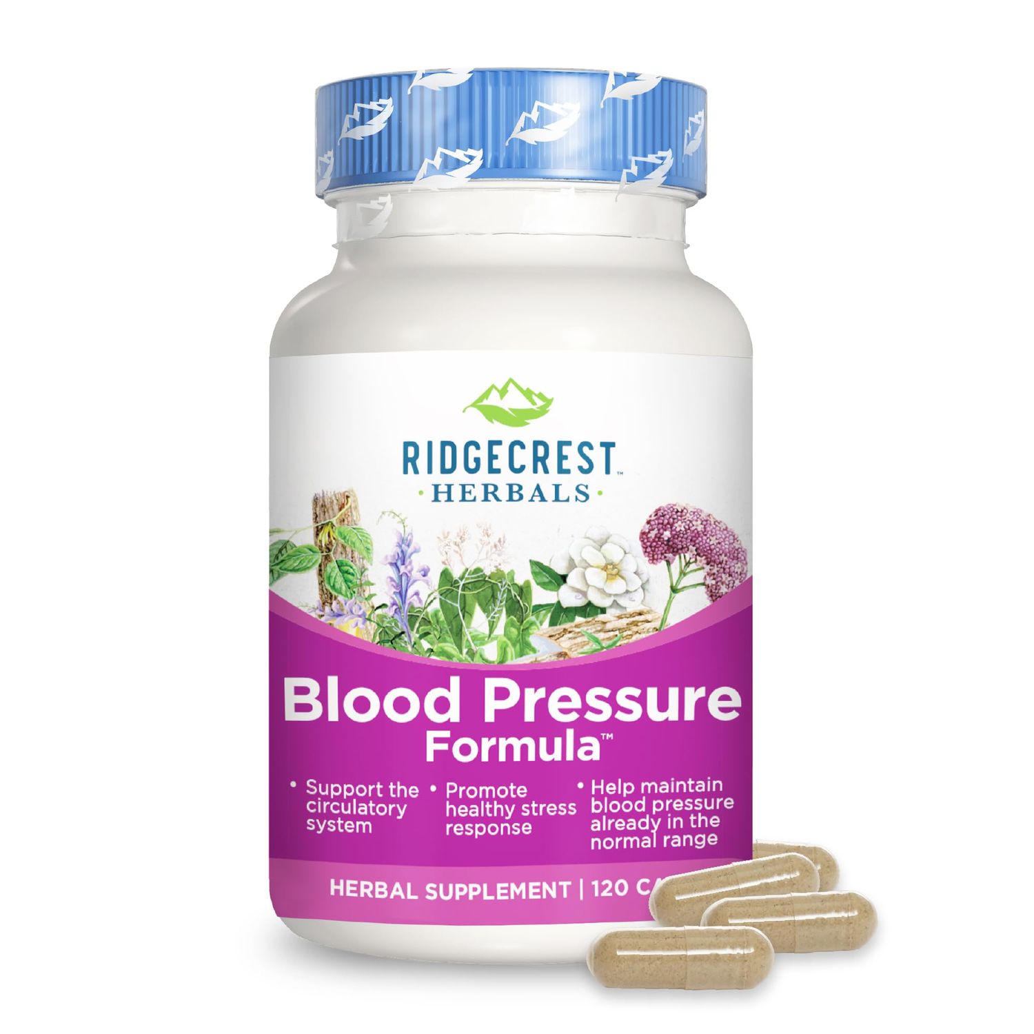 RidgeCrest Herbals Blood Pressure Herbal Formula, 12 Herbs, Poria Mushroom, Gastrodia, Gardenia, for Heart, Vascular, Circulation Health (120 Count)