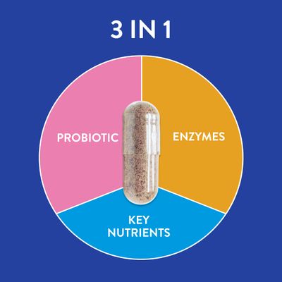 FRISKA Mens Daily Digestive Enzyme and Probiotics Supplement, Natural Support for Male Digestive Health, Bloating, Gas, Indigestion Relief, Supports Gut Health, Lactase and B-Vitamins, 30 Capsules