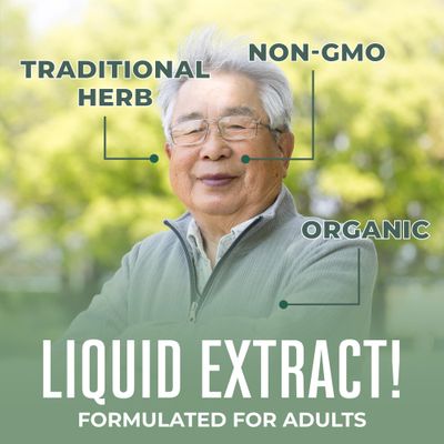 MaryRuth Organics Stinging Nettle Leaf Extract | Detox Supplement Herbal Drops | USDA Organic | Vegan | Non-GMO | Gluten Free | 1 Fluid Oz