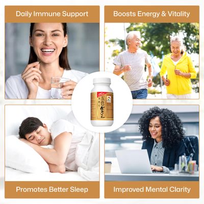 Vita Green Reishi Mushroom Lingzhi - 100% Natural Pure Antioxidant Fungus Extract for Energy Immune Support Wellness for Adults - 72 Capsules