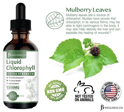 [2-Pack] Liquid Chlorophyll Drops - All-Natural Concentrate - Immune System Support, Energy Booster, and Digestion - from Mulberry Leaves - 240 Servings - [2-Pack]