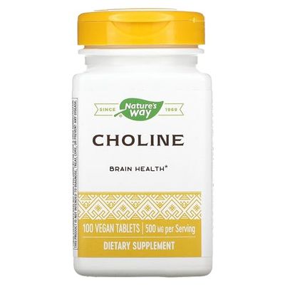 NATURES WAY 500Mg 100 Tb Choline, 100 CT