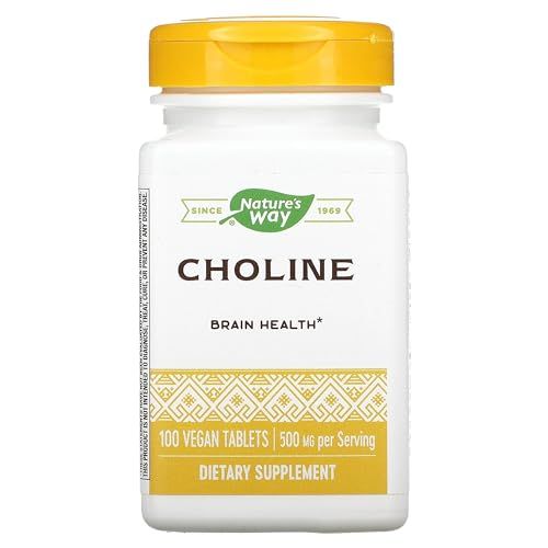 NATURES WAY 500Mg 100 Tb Choline, 100 CT