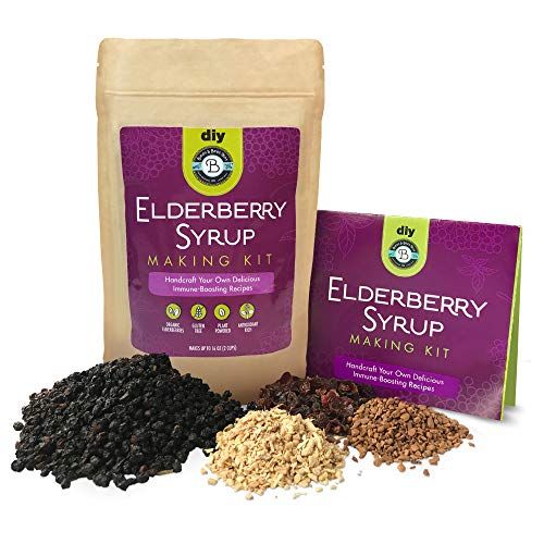 Elderberry Syrup Kit Organic - Make 12-24oz | with Dried Elderberries (Sambucus), Cinnamon, Rosehips, &amp; Ginger - for Adults + Kids - by Birds &amp; Bees Teas