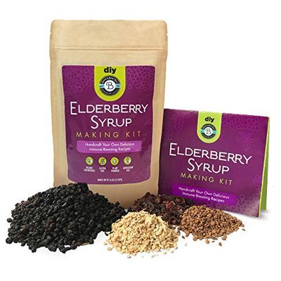 Elderberry Syrup Kit Organic - Make 12-24oz | with Dried Elderberries (Sambucus), Cinnamon, Rosehips, &amp; Ginger - for Adults + Kids - by Birds &amp; Bees Teas