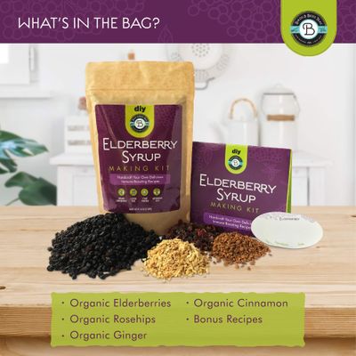 Elderberry Syrup Kit Organic - Make 12-24oz | with Dried Elderberries (Sambucus), Cinnamon, Rosehips, & Ginger - for Adults + Kids - by Birds & Bees Teas
